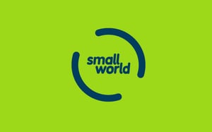 Small World Financial Services